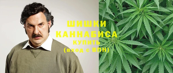 ПСИЛОЦИБИНОВЫЕ ГРИБЫ Верхнеуральск