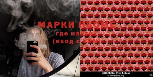 ПСИЛОЦИБИНОВЫЕ ГРИБЫ Верхнеуральск