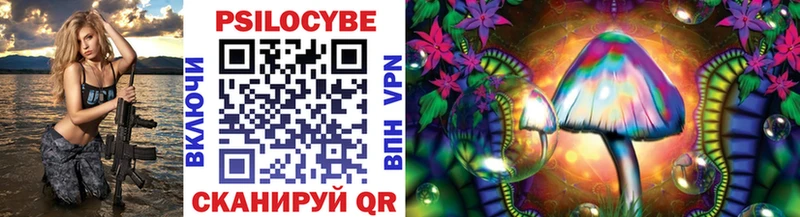 Галлюциногенные грибы Psilocybine cubensis  Высоковск 